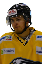 Martin Gombár