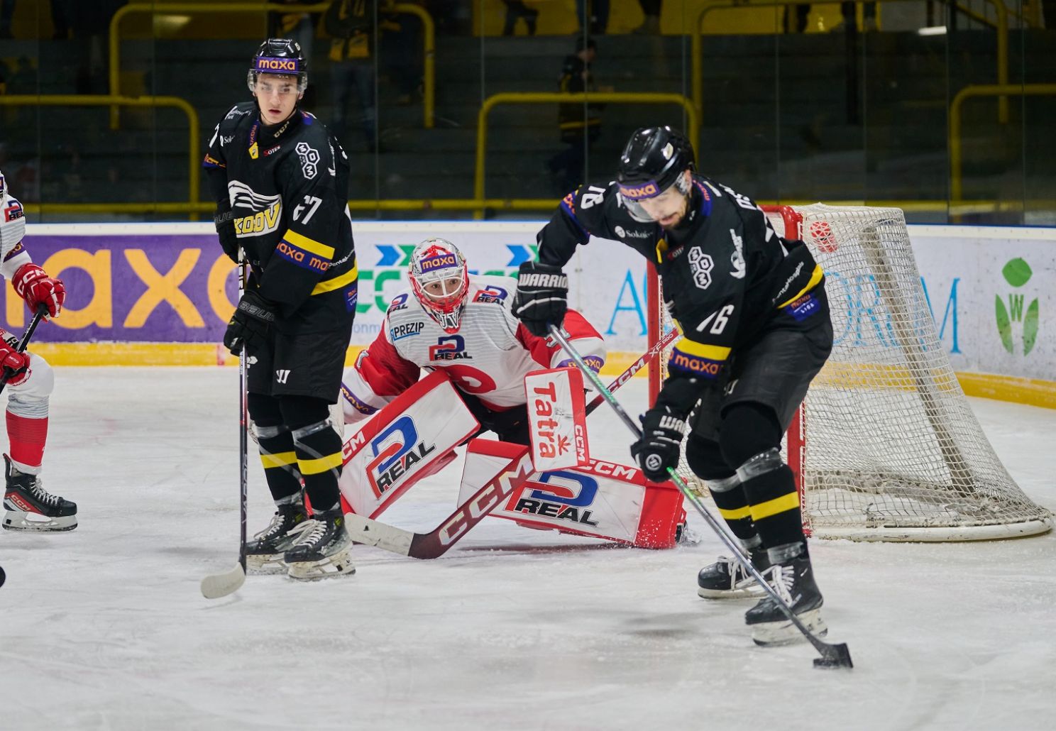Baník vyzve Pardubice podruhé v krátkém čase