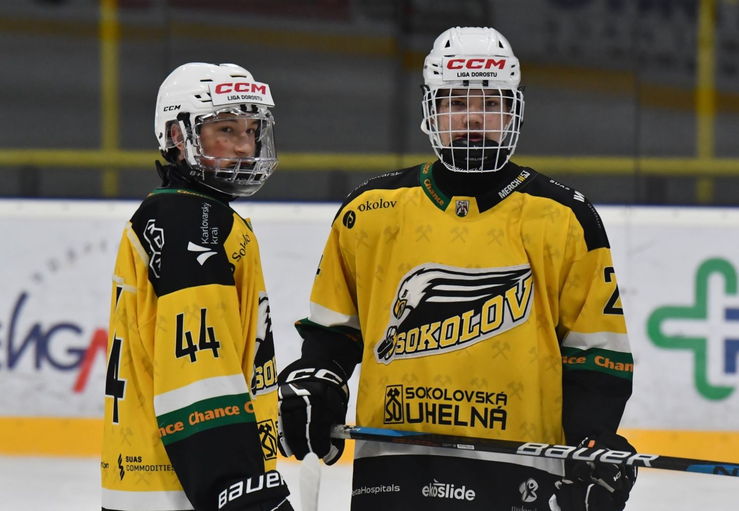 Dorostenci doma bez bodu