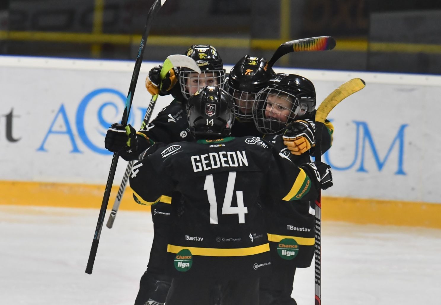 Výsledkový přehled mládeže