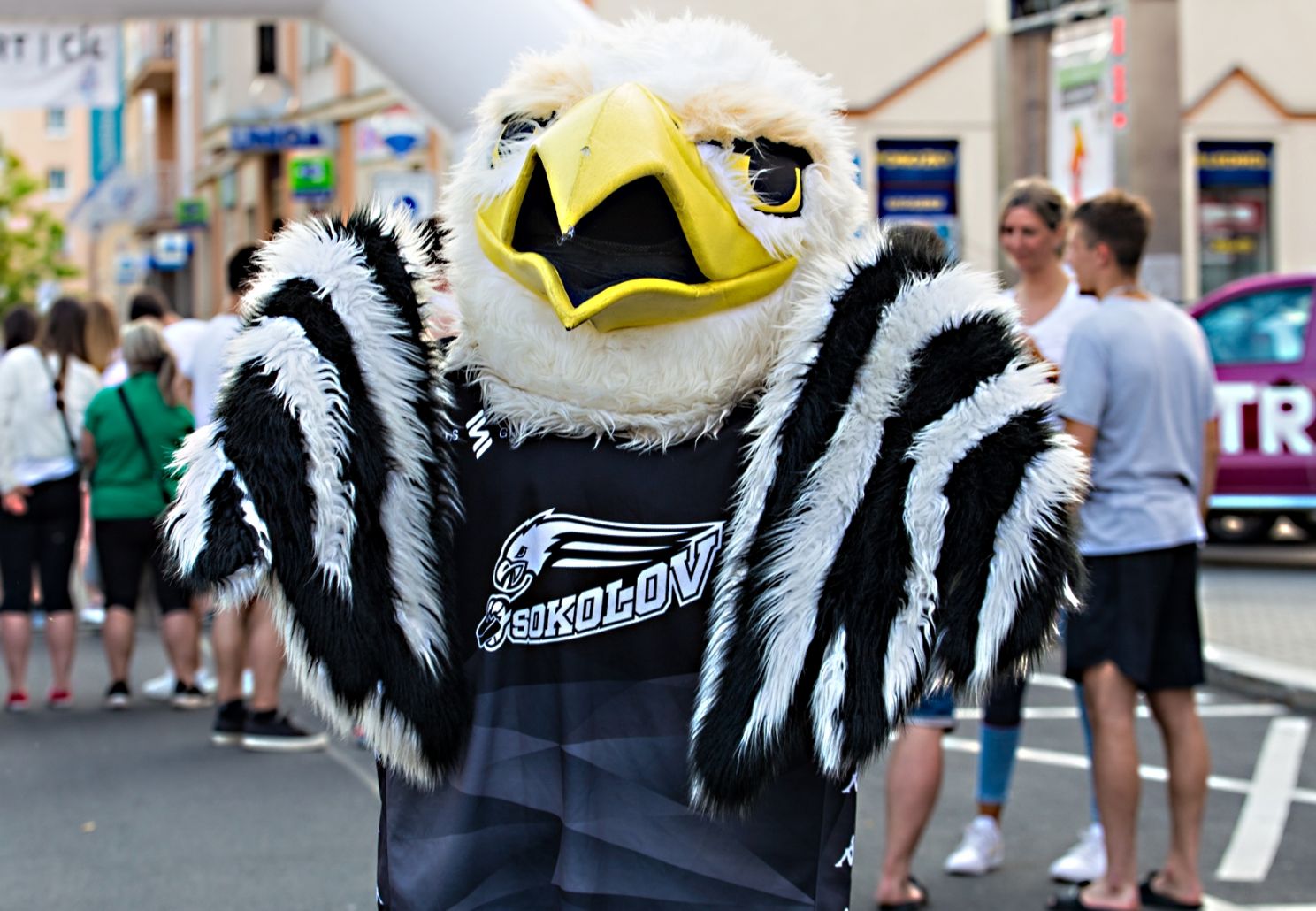 Falko nikdy nespí, aneb přijďte pozdravit našeho maskota