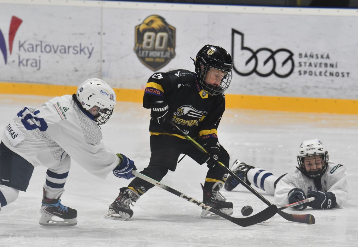 Výsledkový přehled mládeže