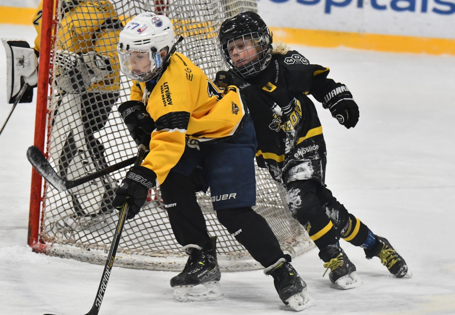 Jak si vedou baníkovci v CCM lize?