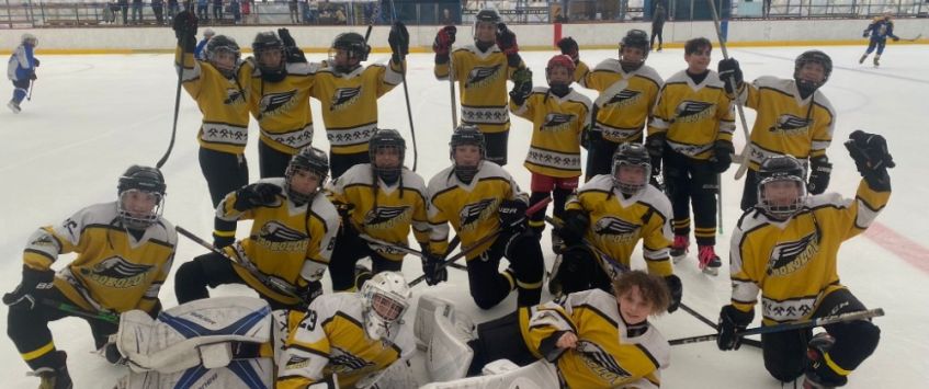 Hokejový „Myšák“ nadělil šesťákům bronzové medaile